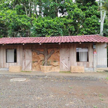 Hotel Del Bosque Río Cuarto Exterior photo