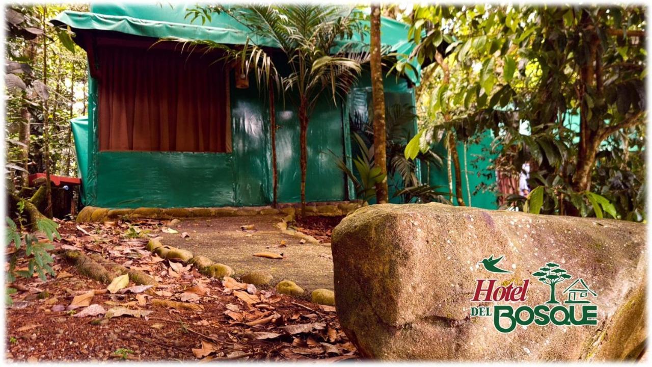 Hotel Del Bosque Río Cuarto Exterior photo